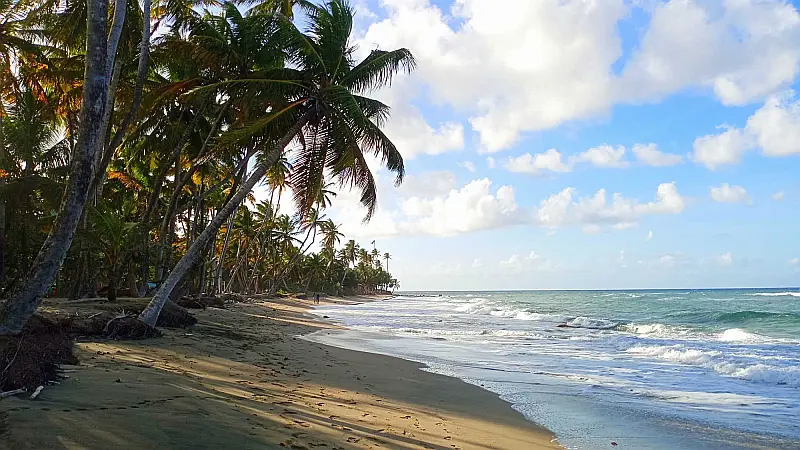 Holiday recommendations